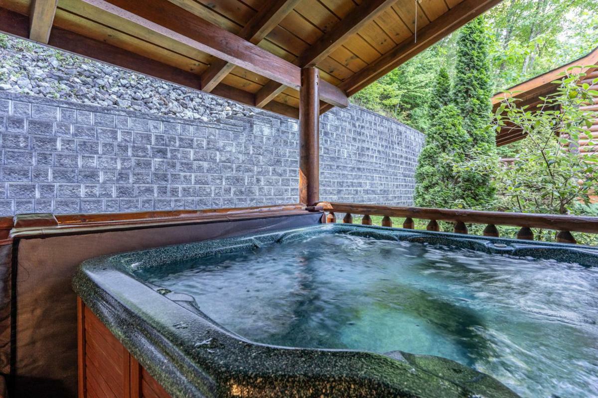 Hébergement de vacances Bear Naked Pigeon Forge